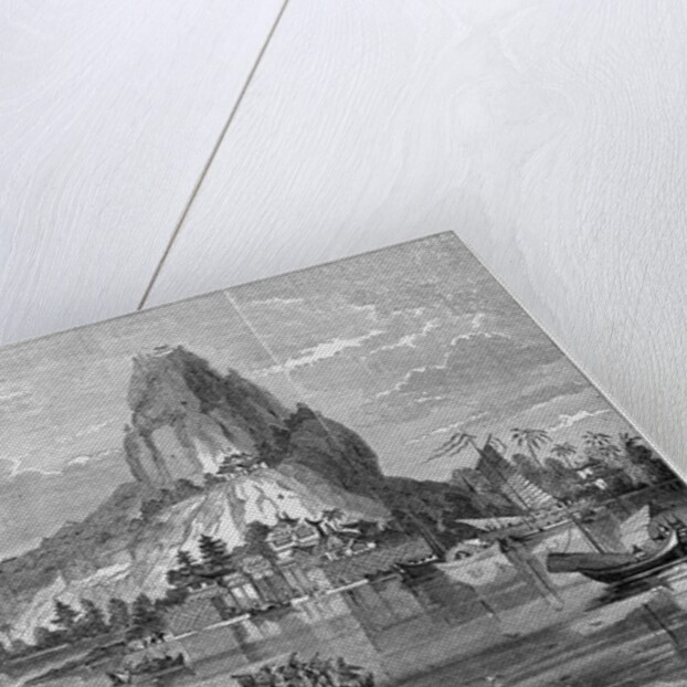Pauromama Vreudenberg, Japan by Anonymous