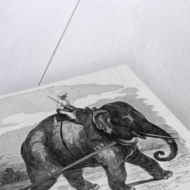 Elephant Pulling Plow by Anonymous