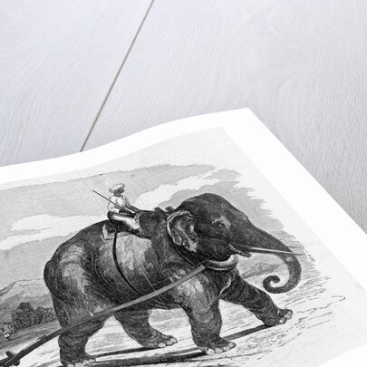 Elephant Pulling Plow by Anonymous