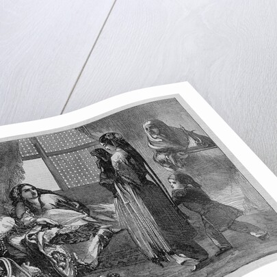 The Favorites in the Harem by Anonymous