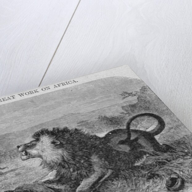 Dr. Livingstone Attacked By the Lion by Anonymous