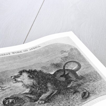 Dr. Livingstone Attacked By the Lion by Anonymous