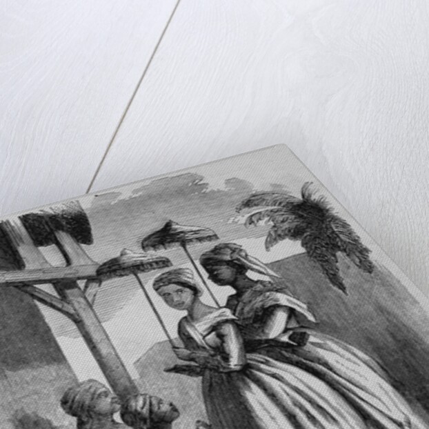 Mulatto and Quadroon of Haiti by Anonymous