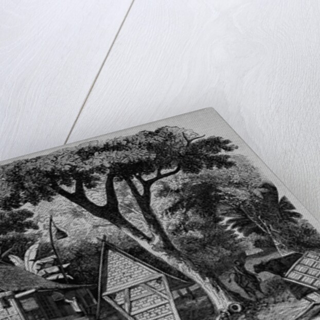 Javanese Habitations by Anonymous