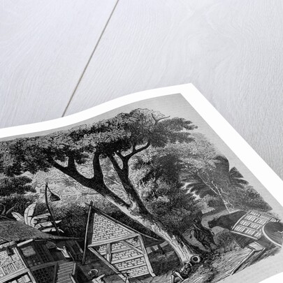 Javanese Habitations by Anonymous