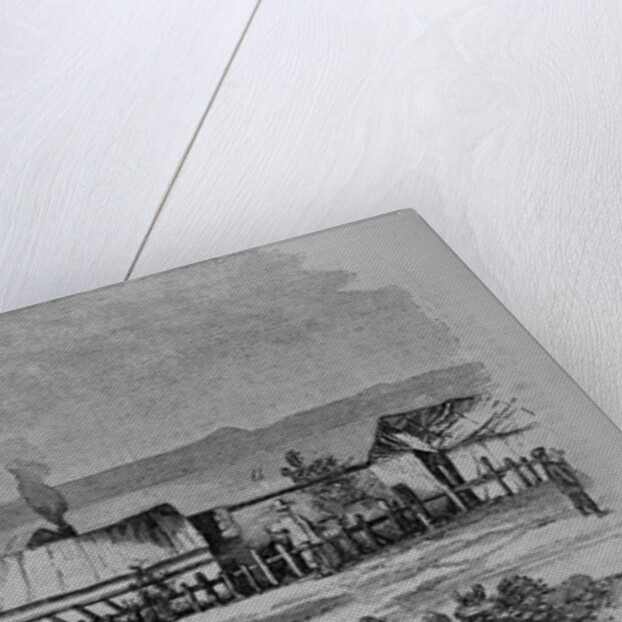 Chinese Settlement in the Suburbs of San Francisco, California by Anonymous
