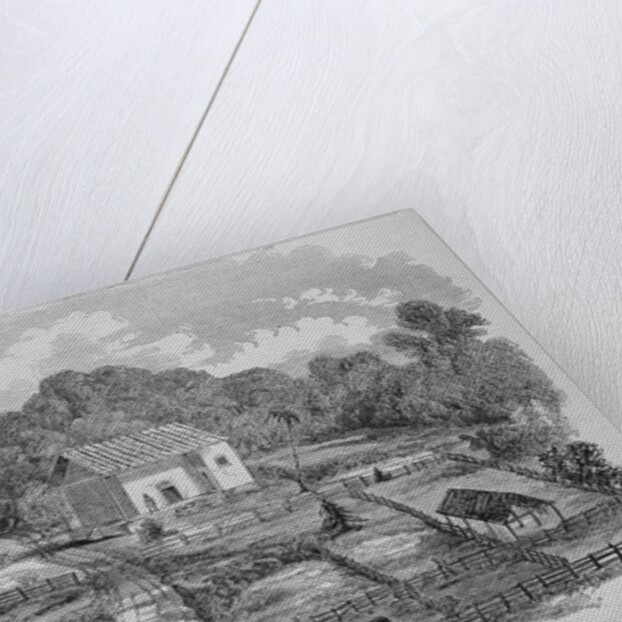 Hacienda of Santa Rosa, Costa Rica, Scene of Schlessinger's Defeat by Anonymous