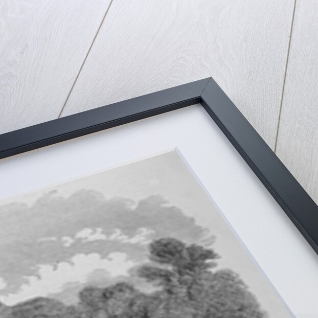 Hacienda of Santa Rosa, Costa Rica, Scene of Schlessinger's Defeat by Anonymous