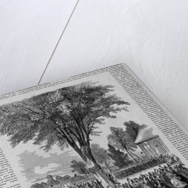 Class-Day Celebration, Harvard. Ceremonies Under the Old Elm, College Green by Anonymous