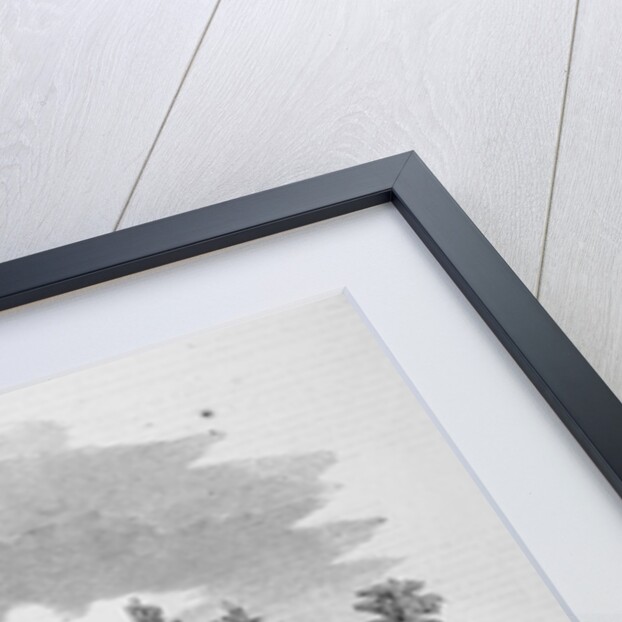 The Dudley Observatory, Albany, N. Y. Incorporated A. D. 1853 by Anonymous