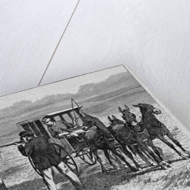 Sport on the Plains by Anonymous