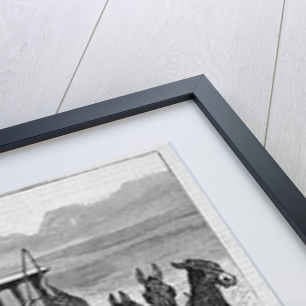 Sport on the Plains by Anonymous