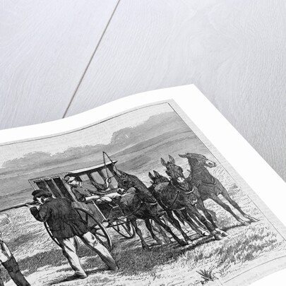 Sport on the Plains by Anonymous