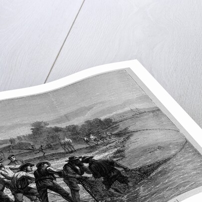 Shad-Fishing in the James River, Opposite Richmond by Anonymous