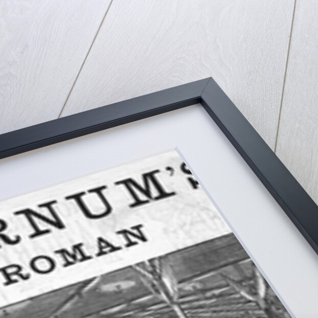 P.T. Barnum's Great Roman Hippodrome by Anonymous