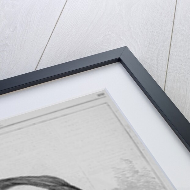 Rutherford B. Hayes - President of the United States by James Landy