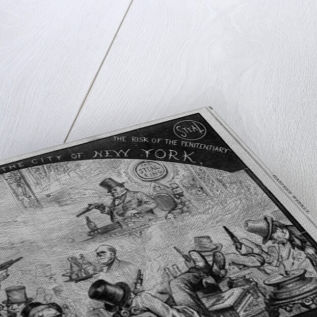 The government of the city of New York by Anonymous