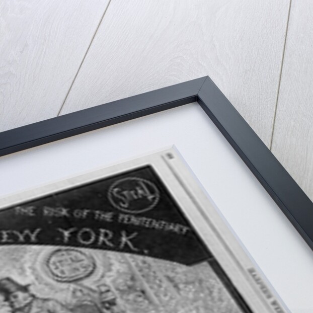 The government of the city of New York by Anonymous