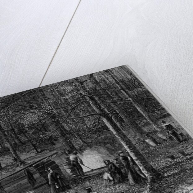 Scene in a sugar bush, Otsego County, New York by A. S. Avery by Anonymous