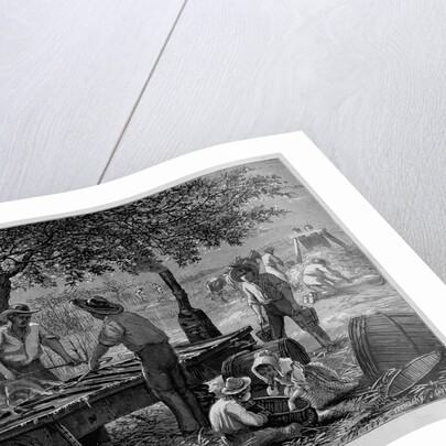 Sketches in the Far West-Sugar Making in Texas by Anonymous