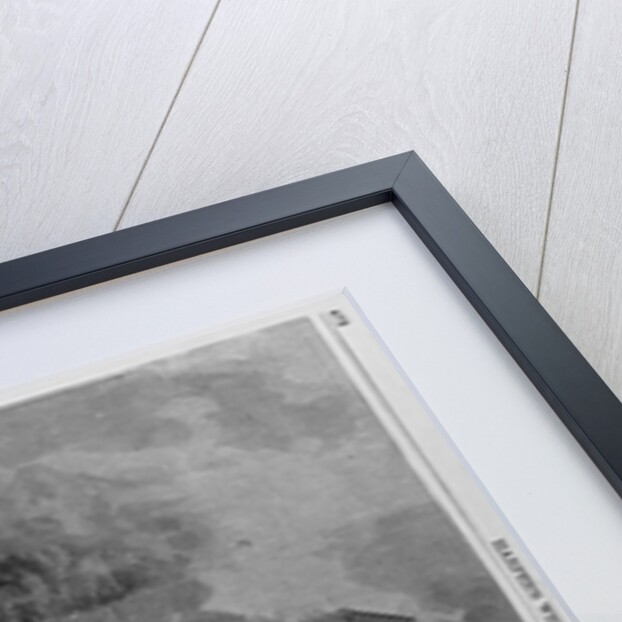 The Destruction by Fire of Barnum's American Museum, in New York, July 13, 1865 by Anonymous