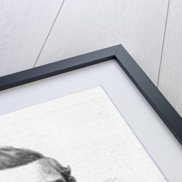 Hon. Ezra Cornell by Anonymous