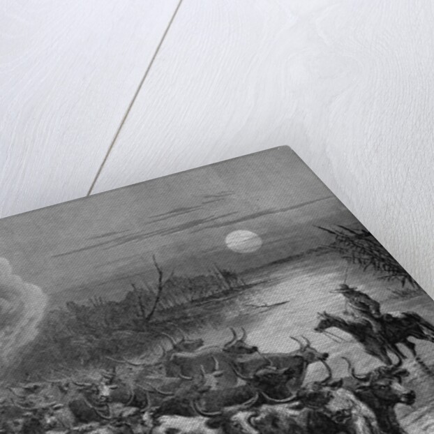 A drove of Texas cattle crossing a stream by A. R. Waud