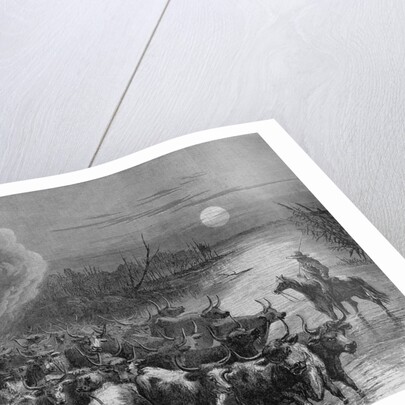 A drove of Texas cattle crossing a stream by A. R. Waud