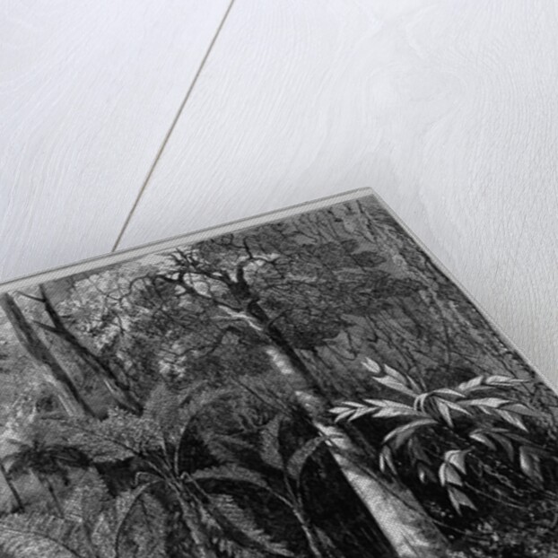 Surveying in Central America for a railroad across the Isthmus of Nicaragua - floating down the Rama by Anonymous