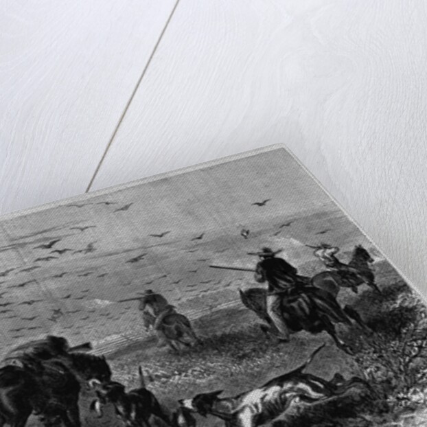Prairie-chichen shooting in Kansas by Theodore R. Davi