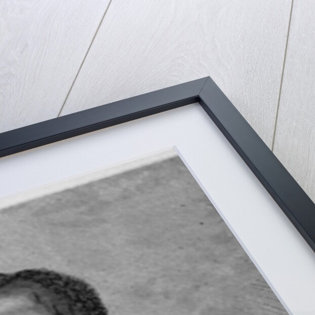 Hon. J. J. Wright, Judge of the Supreme Court of South Carolina. Photographed by Wearn and Hix by Anonymous