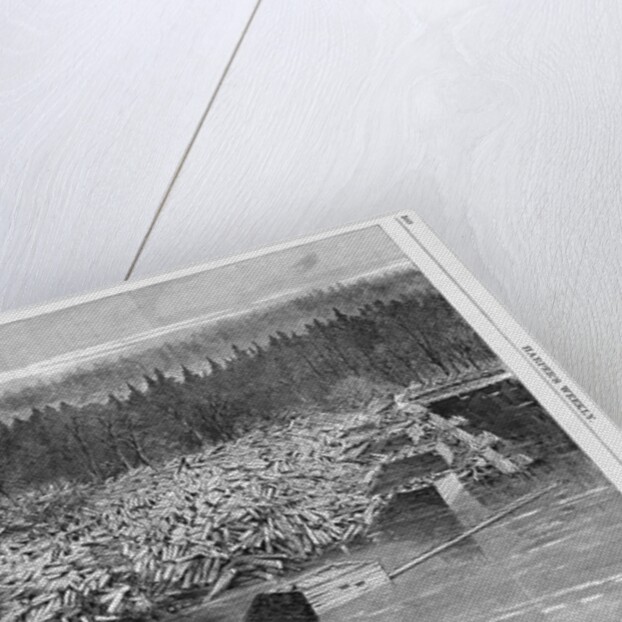 Freshets in the West - Great Jam of Logs at Chippewa Falls Boom, Wisconsin by Anonymous