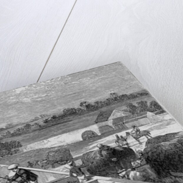 Indigo Manufacture in Tirhoot, Lower Bengal by Anonymous