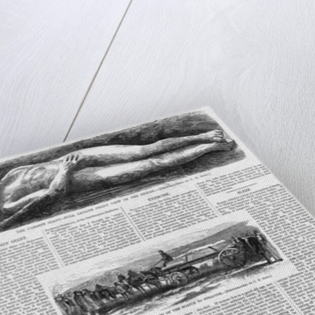 Illustrations of the Cardiff Giant in Harper's Weekly by Anonymous