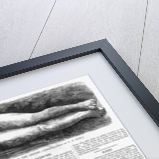 Illustrations of the Cardiff Giant in Harper's Weekly by Anonymous