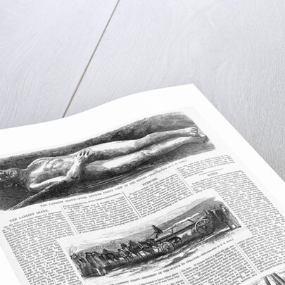Illustrations of the Cardiff Giant in Harper's Weekly by Anonymous