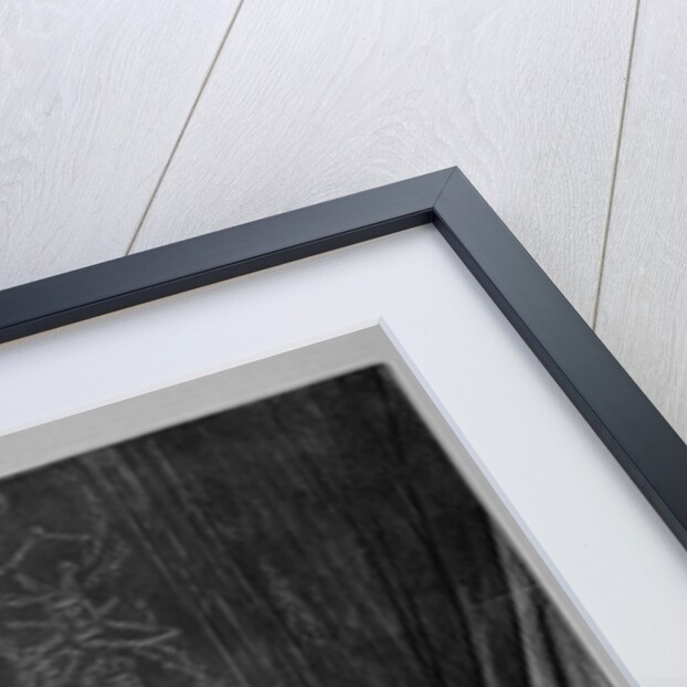 Napoleon. "Dead men's clothes soon wear out." by Anonymous