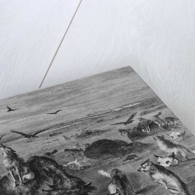 Slaughter of Buffalos on the Plains by Anonymous