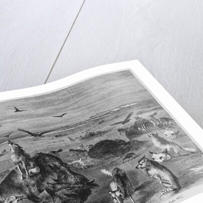 Slaughter of Buffalos on the Plains by Anonymous