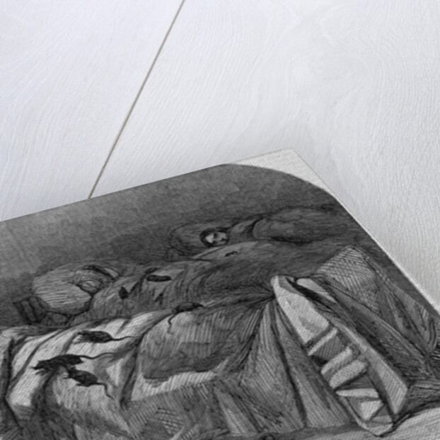 The sick women in Bellevue Hospital, New York, overrun by rats by Anonymous