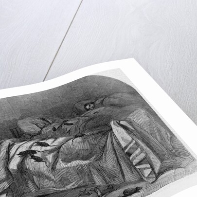 The sick women in Bellevue Hospital, New York, overrun by rats by Anonymous