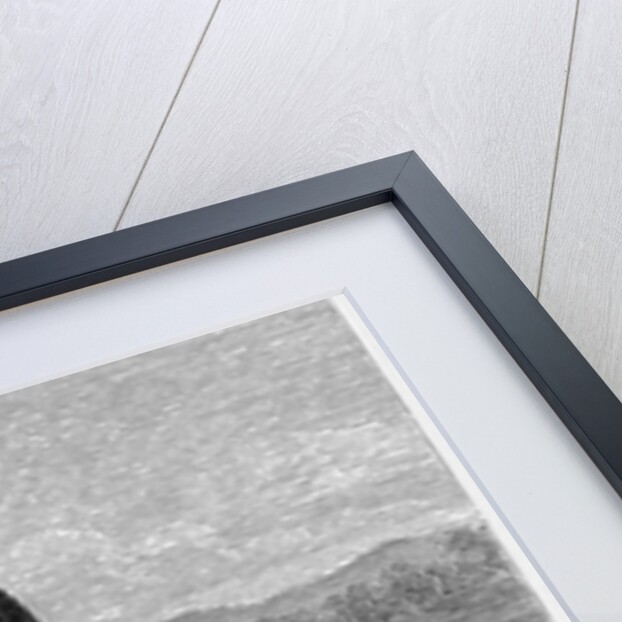 A Velocipede of Fifty Years Ago by Anonymous