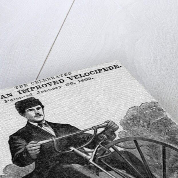 The Celebrated American Improved Velocipede Illustration by Anonymous