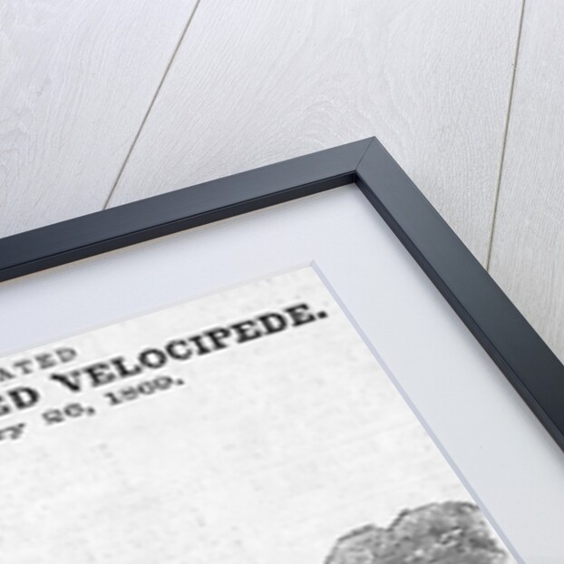 The Celebrated American Improved Velocipede Illustration by Anonymous