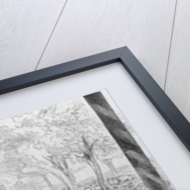 The Centennial Fourth-Mr. Richard Henry Lee Reading the Declaration of Independence, at Philadelphia by Anonymous