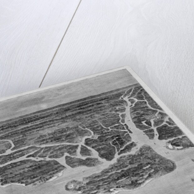 Bird-Eye View of the Coast, From Savannah, Georgia to Beaufort, South Carolina, Showing the Postitio by Anonymous