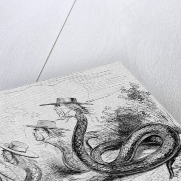 The Copperhead Party-In Favor of a Vigorous Prosecution of Peace! Illustration by Anonymous