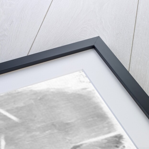 The Sioux War-Cavalry Charge of Sully's Brigade at the Battle of White Stone Hill, September 3, 1863 by Anonymous