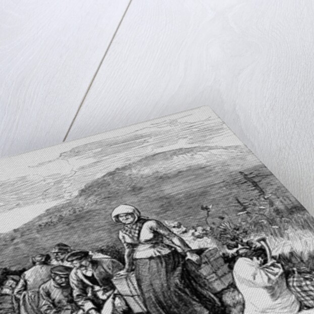 Immigrants waiting to be destributed in the coal regions of Pennsylvania from nature by W.A. Rogers
