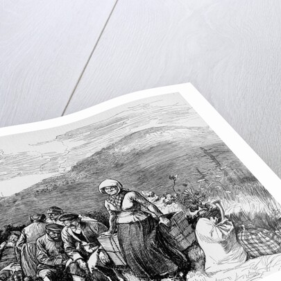 Immigrants waiting to be destributed in the coal regions of Pennsylvania from nature by W.A. Rogers